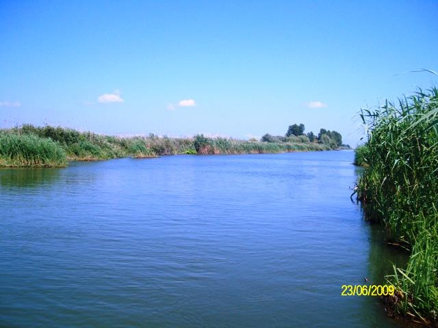 delta rosu 2009 - sany6790.JPG